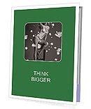 Female Lingerie And Diamonds Presentation Folder Design ID SmileTemplates