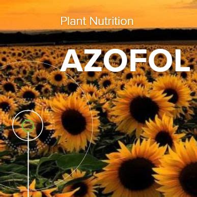 Минеральное удобрение - AZOFOL - agronutrition - Азот / богатое магнием ...