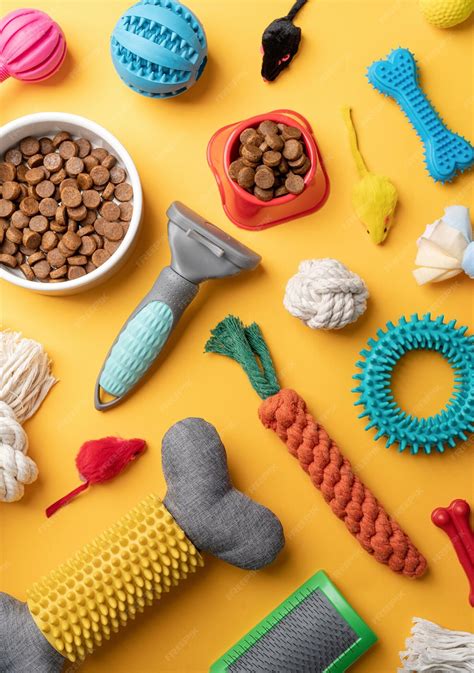 Premium Photo | Pet care concept various pet accessories and tools on