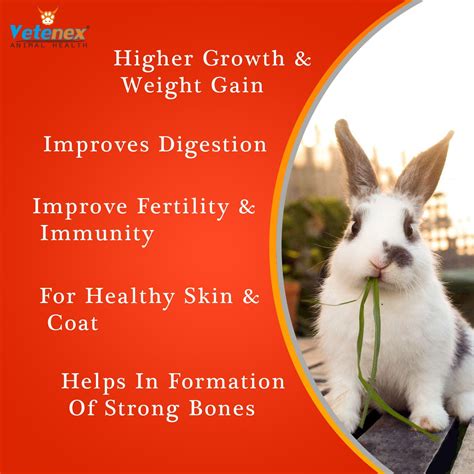 Vetenex Rabbit Booster Complete Nutritional Supplement With Multivitamins Minerals