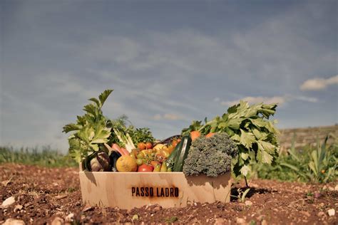 Cassette Di Frutta E Verdura Biologica Passo Ladro