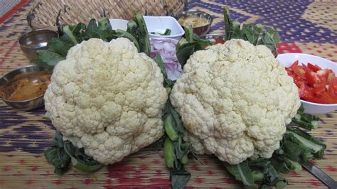 Cauliflower Recipe In Tamil / Cauliflower Curry / Village Cooking In
