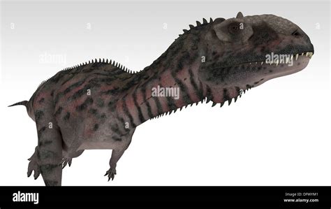 Abelisauriden Theropod Dinosaurier Stockfotos Und Bilder Kaufen Alamy