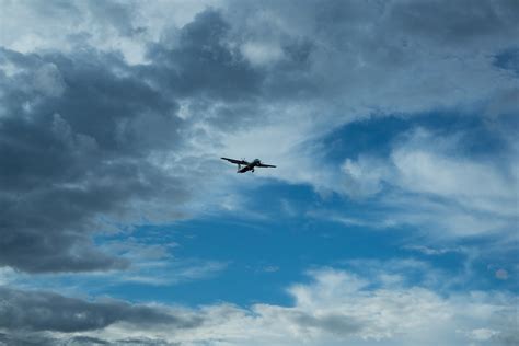 Free Images Bird Wing Cloud Sky Seabird Airplane Flight