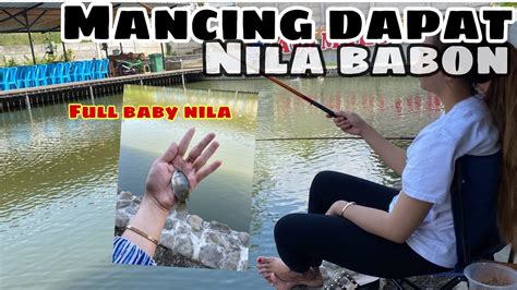 Mancing Babon Nila Dapatnya Mengejutkan YouTube