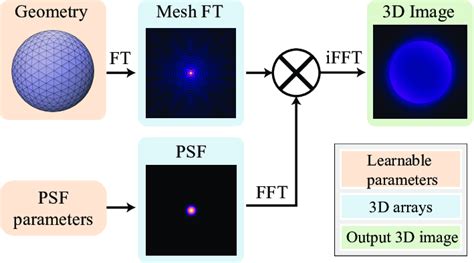 Overview Of The Differentiable Fluorescence Microscopy Rendering