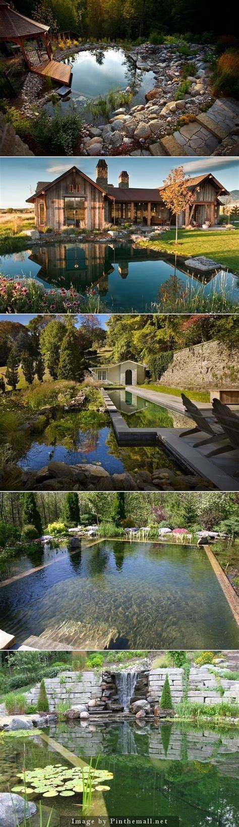 natural swimming pools design ideas