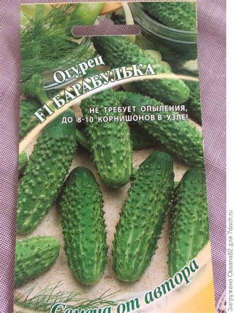 Огурец барабулька: описание сорта, посадка, уход, фото, отзывы