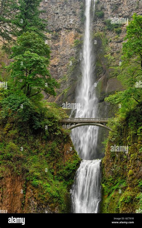 Multnomah Falls With Benson Bridge Columbia River Gorge National