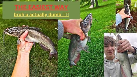 How To Catch Catfish In Nasty Ponds Urban Fishing Youtube