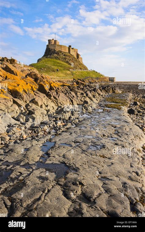 Lindisfarne Castle Holy Island Northumberland England Stock Photo