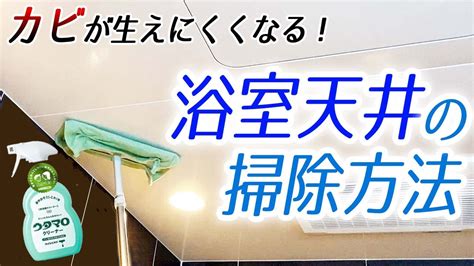 お風呂のカビ対策！浴室天井の掃除方法と使用道具を解説 Youtube