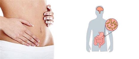 Lactobacillus acidophilus: La-14, DDS-1, La5, and L-92 - Get to know it!