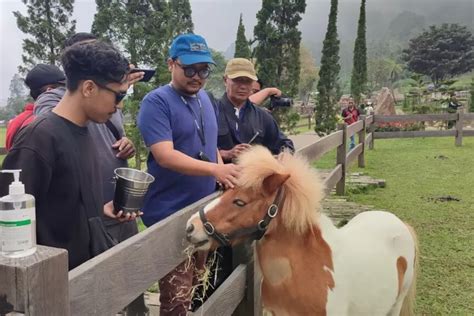 Bisa Interaksi Dengan Satwa Wisata Bali Farm House Buleleng Punya