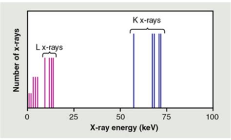 Dmi Unit Xray Production And Interactions With Matter Flashcards