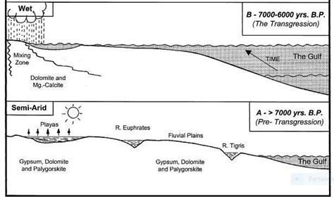 Schematic cross-sections showing various periods of the Holocene ... 
