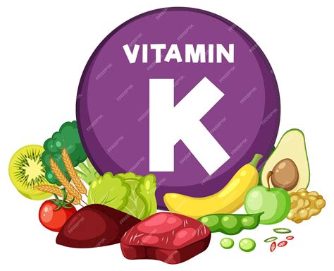 Premium Vector | Group of Food Fruits and Vegetables Containing Vitamin K