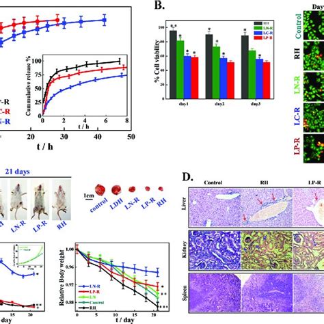 In vitro and in vivo controlled release of drug using layered double ... 