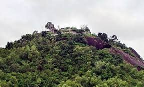 Purnagiri Devi Temple, Uttarakhand - Info, Timings, History, Video 2024