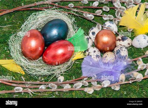 A Pussy Willow Sprig And Easter Egg For The Feast Of The Radiant Resurrection Of Christ Stock
