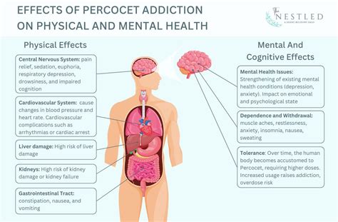 Percocet Addiction Signs Causes Effects And Treatment Options The