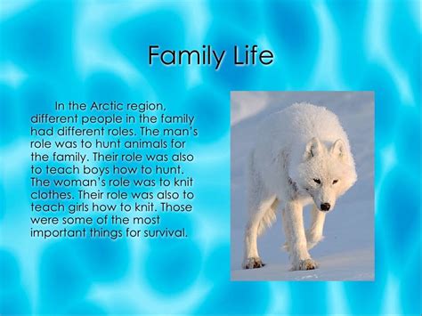 Arctic Native Americans