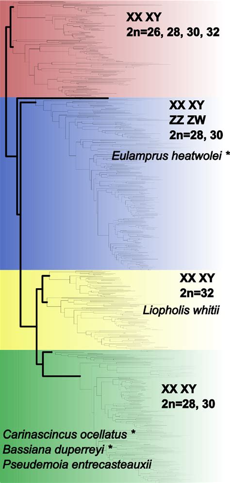 Figure 1 From Differences In Homomorphic Sex Chromosomes Are Associated