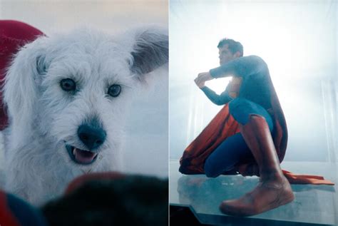 James Gunn Shares New Superman Trailer Teases Krypto Techeblog