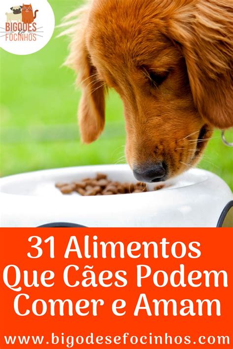 Alimentos Que C Es Podem Comer Alimentos Para C Es Cuidados Para