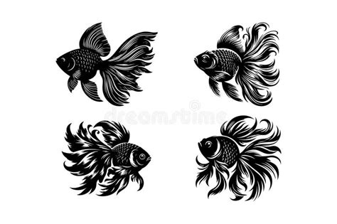 Goldfish Vector Silhouette Set Stock Vector Illustration Of White