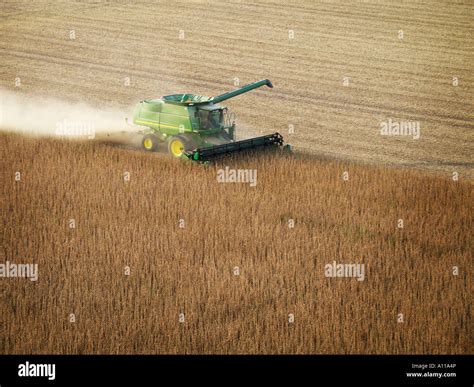 Farmer harvesting soybeans Stock Photo - Alamy