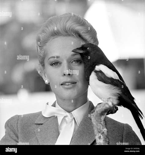 Tippi Hedren Amerikanische Schauspielerin Geboren Im Januar