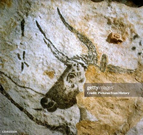 481 Lascaux Cave Art Stock Photos, High-Res Pictures, and Images ...