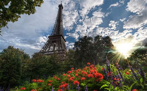 Красивый Фон Картинки Фото — Картинки фотографии