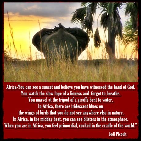 Out Of Africa Quotes. QuotesGram