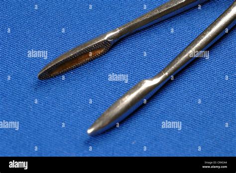 Gross Maier Dressing Forceps Used To Help Dress A Surgical Wound By