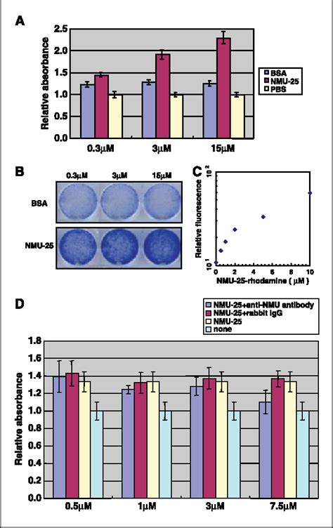 Figure 3 From The Neuromedin U Growth Hormone Secretagogue Receptor 1b