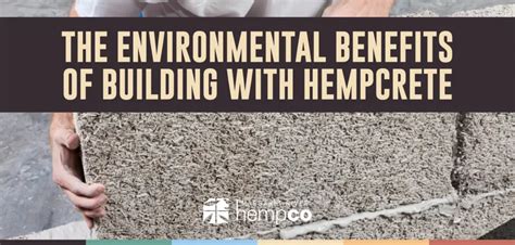 How Hempcrete Benefits The Planet | Margaret River Hemp Co