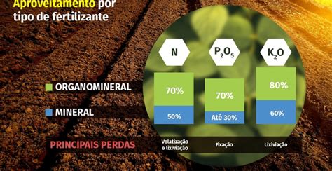 Os benefícios dos fertilizantes organominerais Cana Online