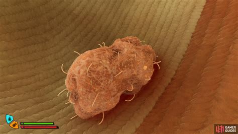Lint Clump - Grounded 2 Database | Gamer Guides®
