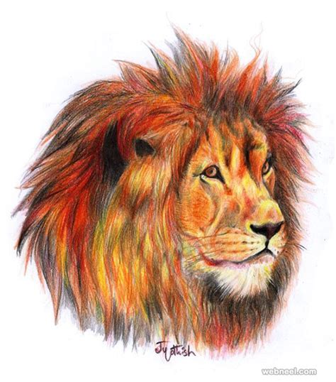 Lion Color Pencil Drawing By Jyothish Kumar