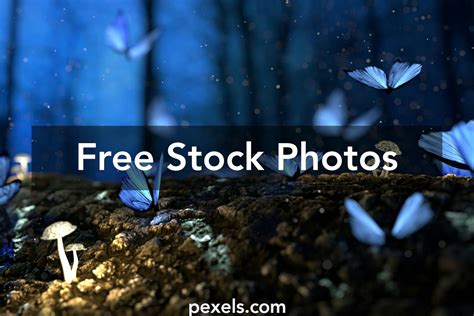 4k Background Photos, Download The BEST Free 4k Background Stock Photos ...