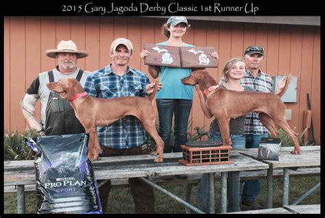 Fidler's Farm Boarding & Kennel
