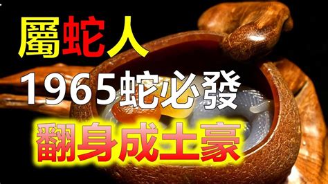 2024生肖運勢十二生肖屬蛇乙巳年出生的稱為木蛇出生日期在1965年木蛇人的性格注重有秩序有條理的生活属蛇人生性好準確喜歡將事物按序