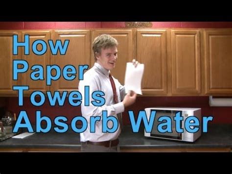 fascinating science  paper towels