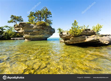 Гурон (Много фото!) - treepics.ru