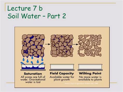 Ppt Lecture 7 B Soil Water Part 2 Powerpoint Presentation Id1059550