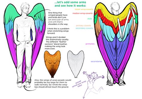 Image Result For Drawing Wings On Humans Wings Drawing Angel Drawing