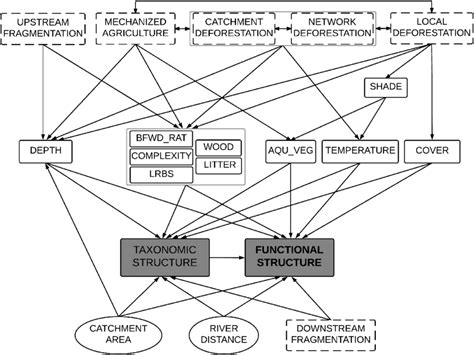 Hypothesized Model Tested Using Structural Equation Modeling