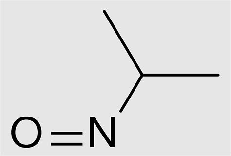 Organic Molecule Worksheet Coloring Pages